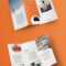 100 Best Indesign Brochure Templates Within Brochure Templates Free Download Indesign