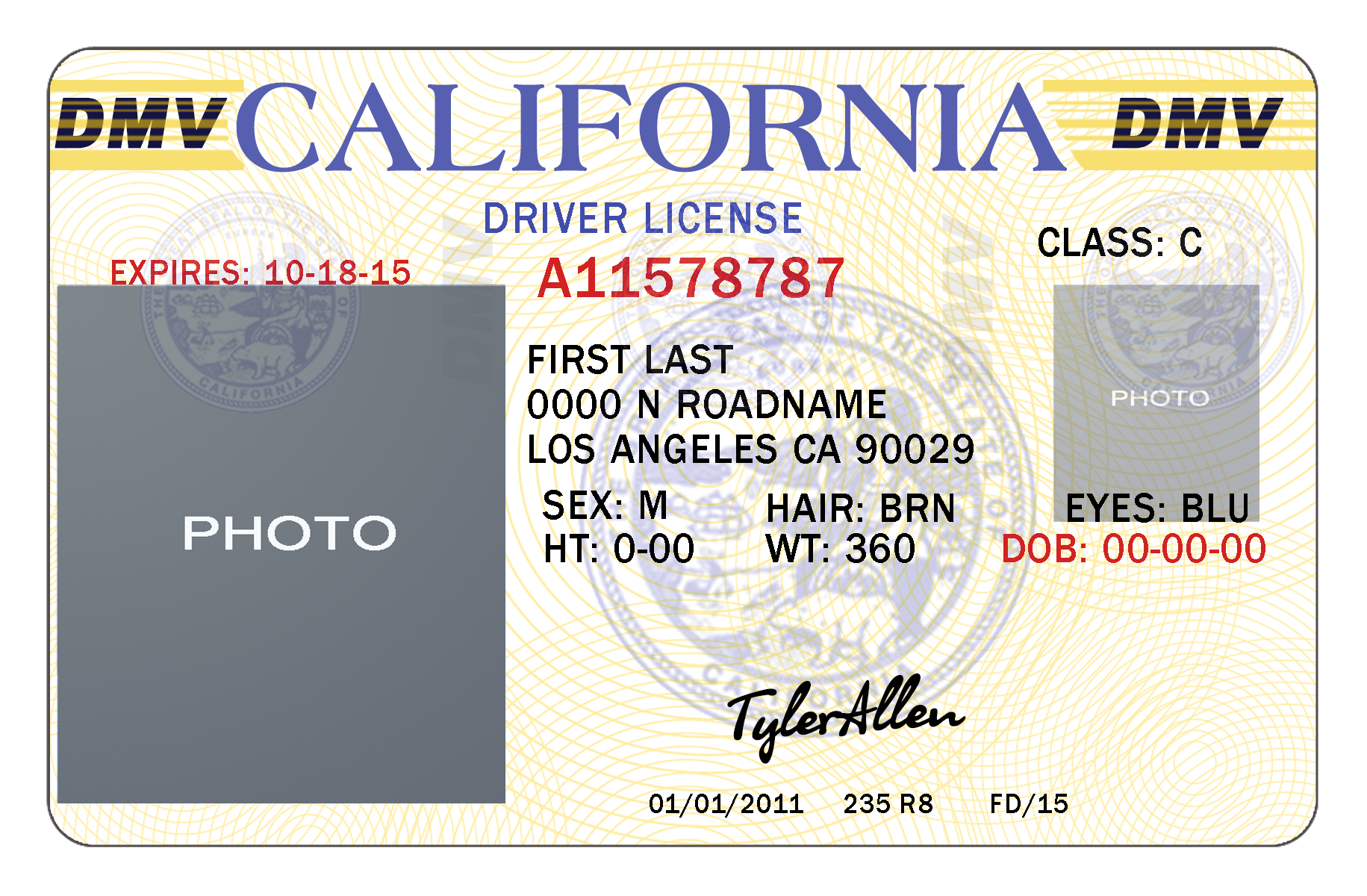 11Ea1 Free Drivers License Template | Wiring Resources Within Texas Id Card Template