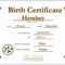 12 Birth Certificate Template | Radaircars With Regard To Baby Doll Birth Certificate Template