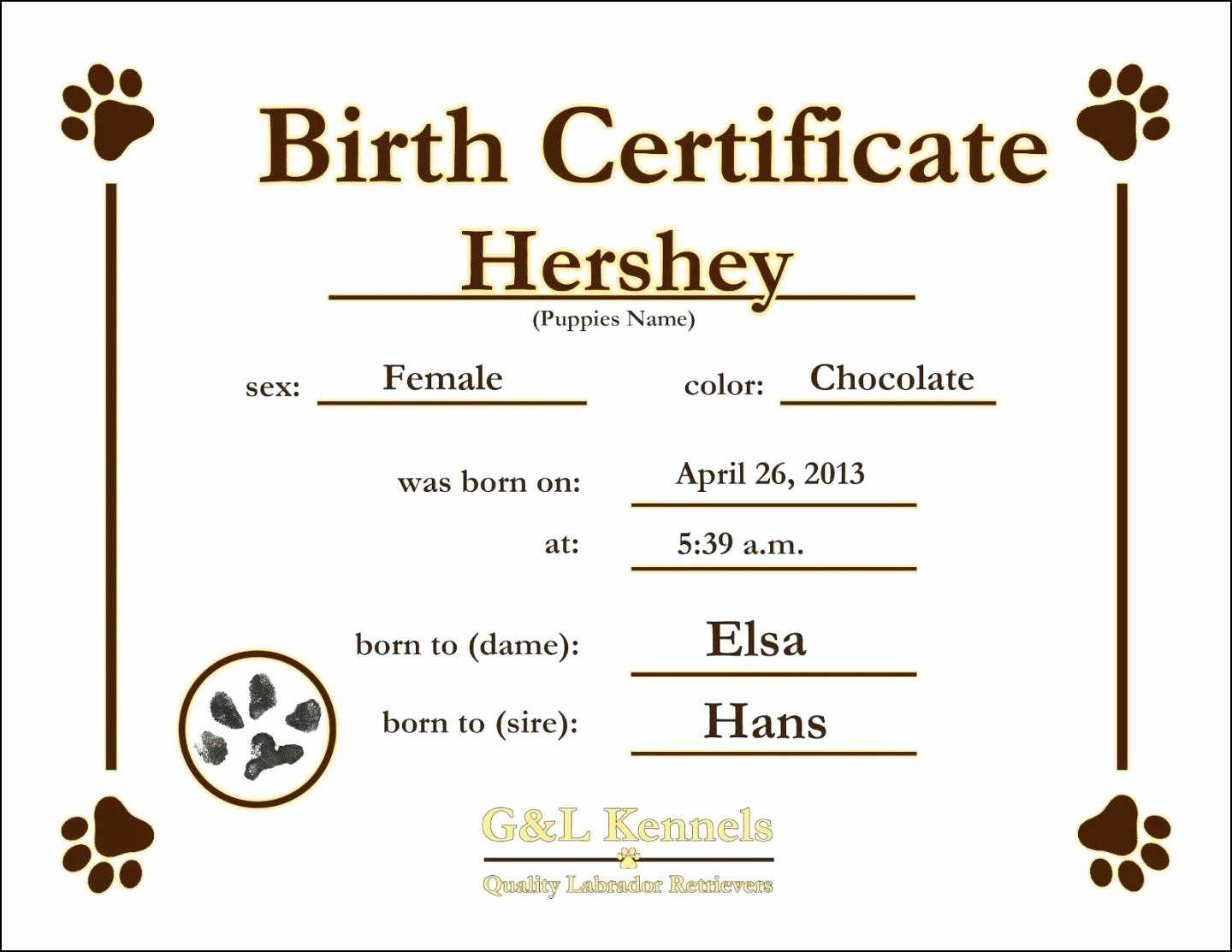 12 Birth Certificate Template | Radaircars With Regard To Baby Doll Birth Certificate Template