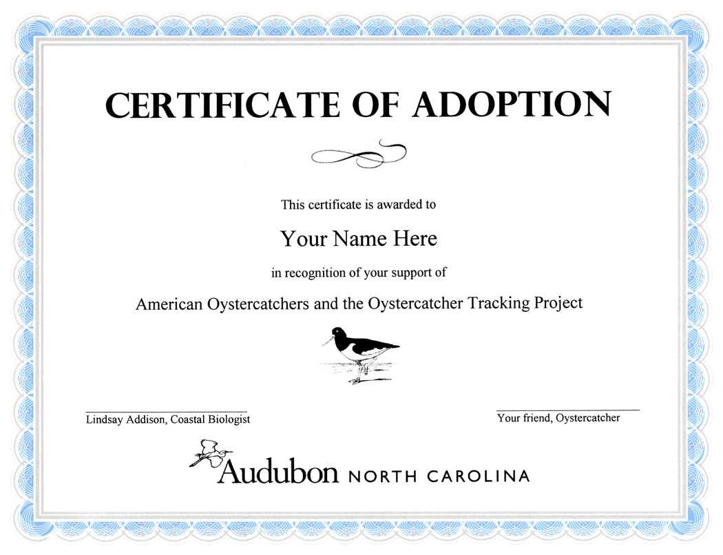 28+ [ Adoption Certificate Template ] | Adoption Certificate Inside Adoption Certificate Template