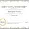 Achievement Award Certificate Template – Dalep.midnightpig.co In Template For Certificate Of Award