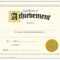 Achievement Certificate Best Of Trend Enterprises Classic Inside Certificate Of Achievement Template Word