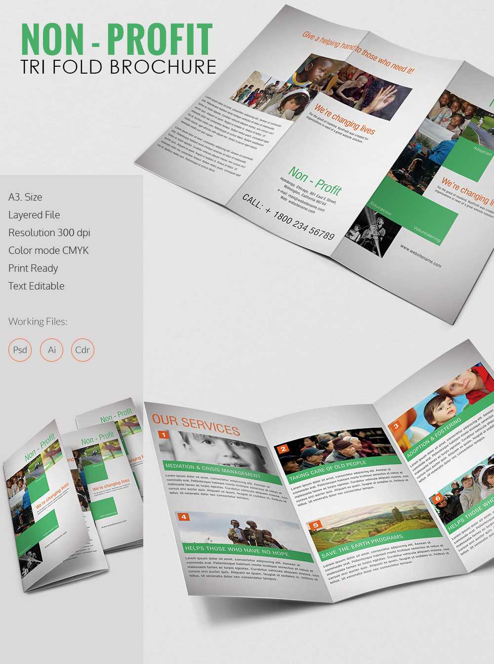 Amazing Non Profit A3 Tri Fold Brochure Template Download Intended For Ngo Brochure Templates