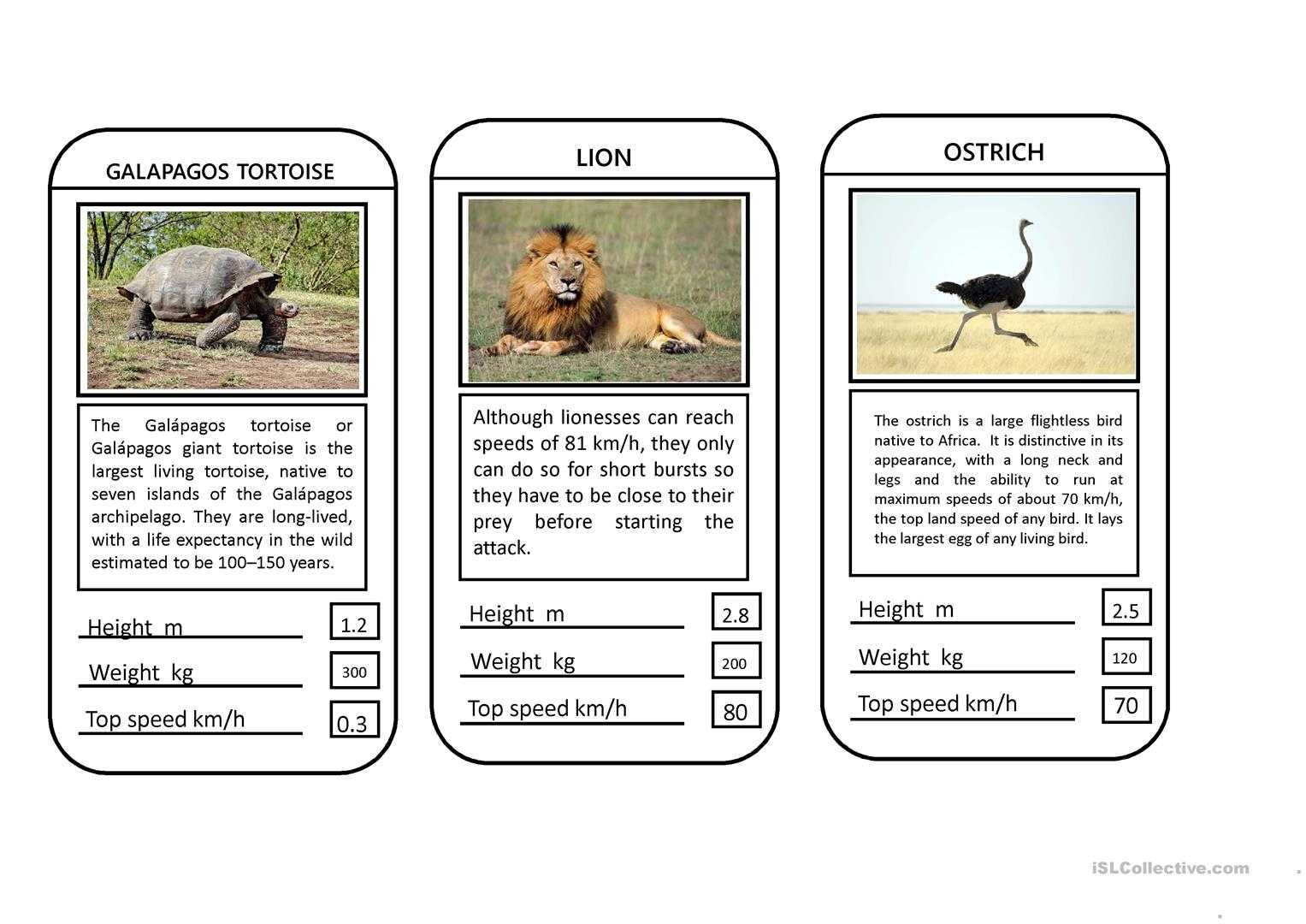 Animal Top Trumps Game – English Esl Powerpoints For Inside Top Trump Card Template