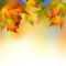 Autumn Leaves Backgrounds For Powerpoint – Flower Ppt Templates Throughout Free Fall Powerpoint Templates
