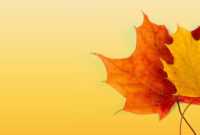 Autumn Ppt Background - Powerpoint Backgrounds For Free inside Free Fall Powerpoint Templates