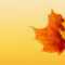 Autumn Ppt Background - Powerpoint Backgrounds For Free inside Free Fall Powerpoint Templates