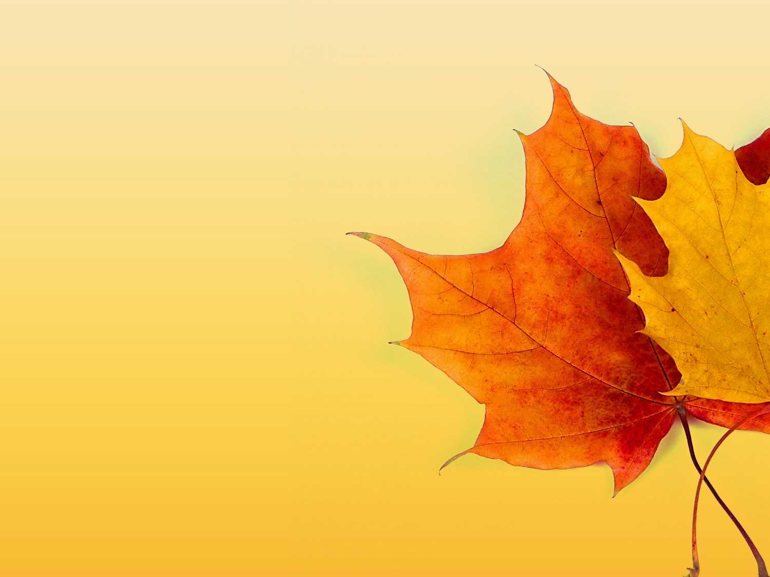 Autumn Ppt Background – Powerpoint Backgrounds For Free Inside Free Fall Powerpoint Templates