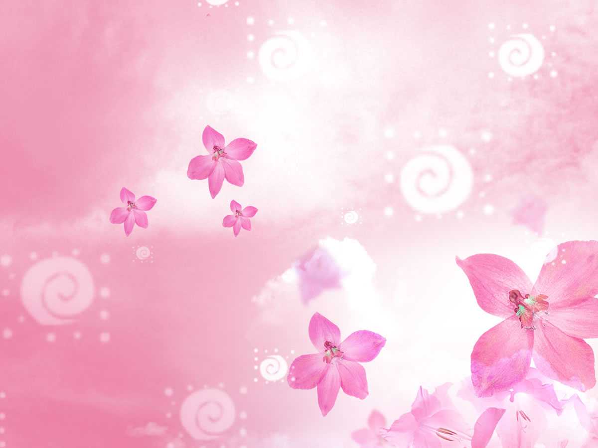 Beautiful Flowers Backgrounds For Powerpoint – Flower Ppt Within Pretty Powerpoint Templates