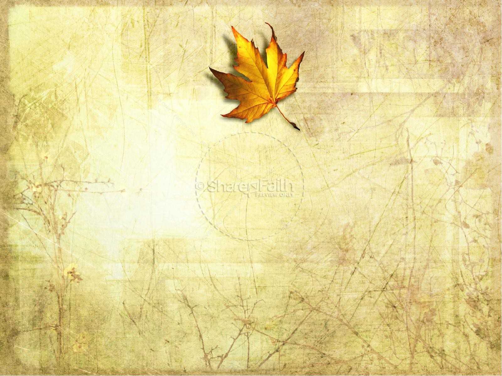 Best 54+ Fall Leaves Powerpoint Background On Hipwallpaper In Free Fall Powerpoint Templates