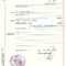 Birth Certificate Germany I For Birth Certificate Translation Template Uscis