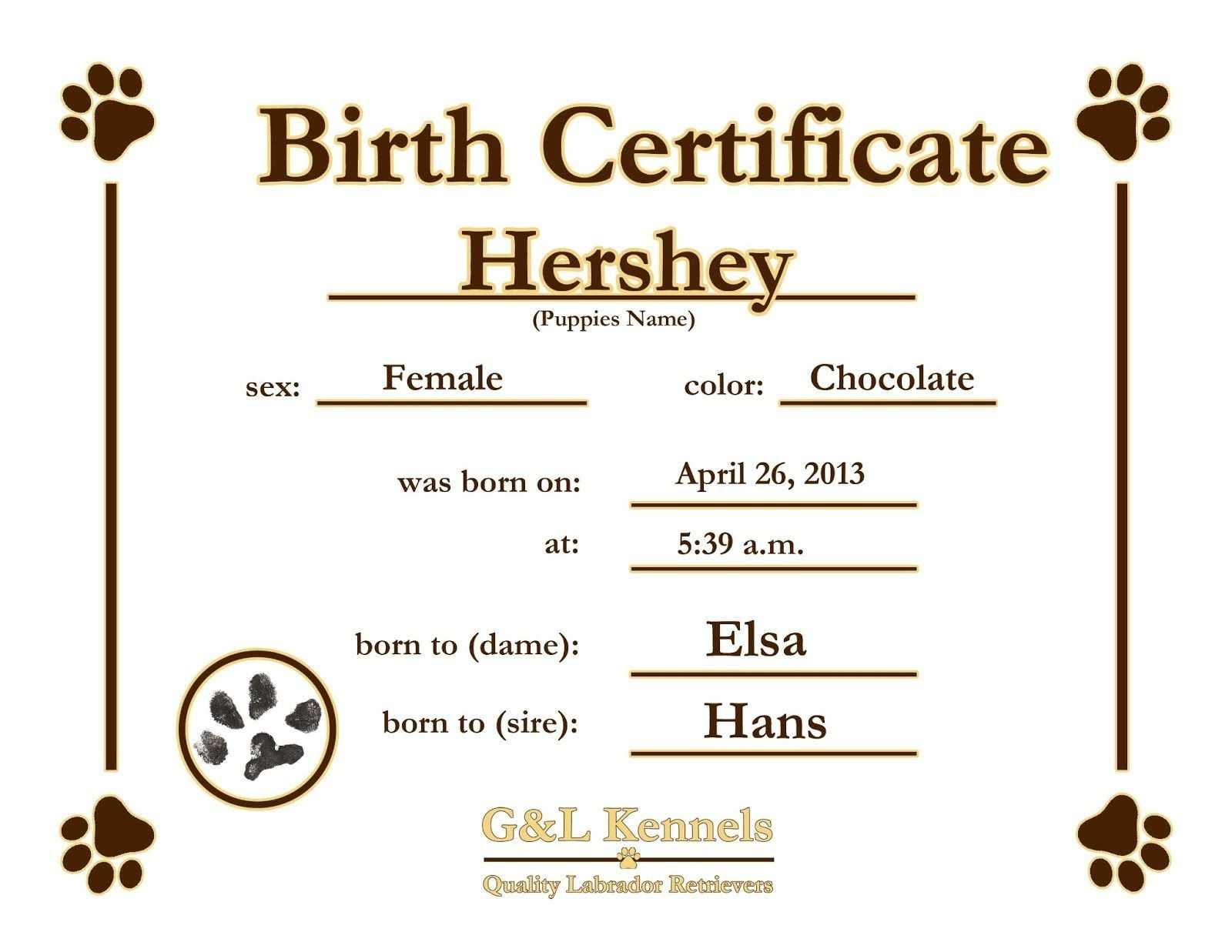 Birth Certificate Template 44 Free Word Pdf Psd Format Throughout Build A Bear Birth Certificate Template