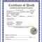 Blank Death Certificate – Calep.midnightpig.co For Fake Death Certificate Template