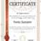 Certificate Diploma Completion Silver Design Template Within Certificate Scroll Template
