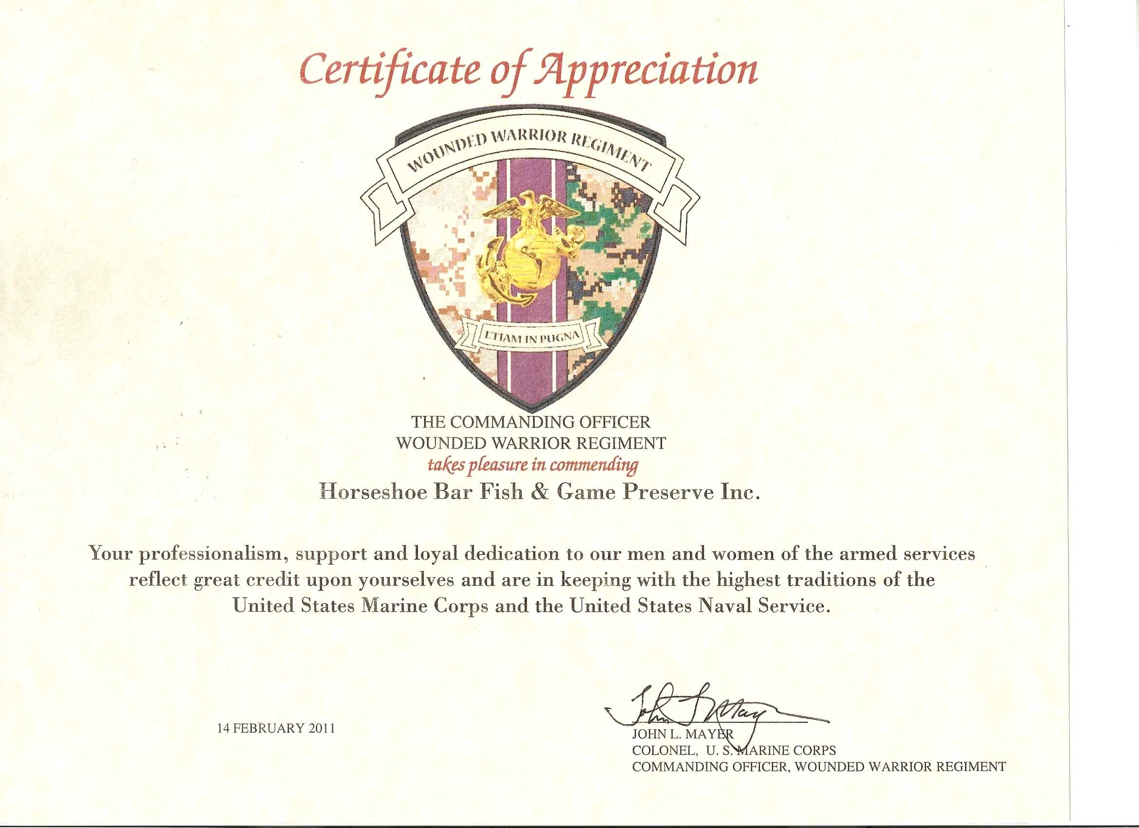 Certificate Of Appreciation Usmc – Dalep.midnightpig.co Pertaining To Army Certificate Of Appreciation Template