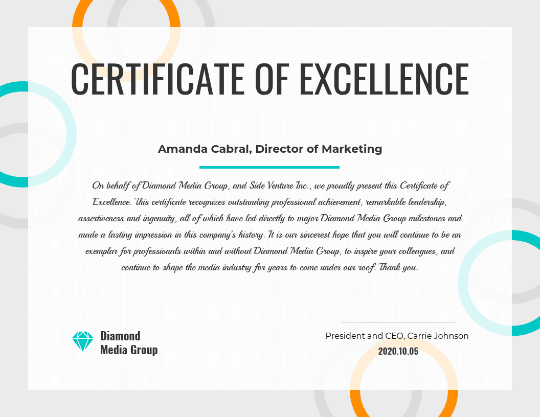 Certificate Of Excellence Regarding Volunteer Of The Year Certificate Template