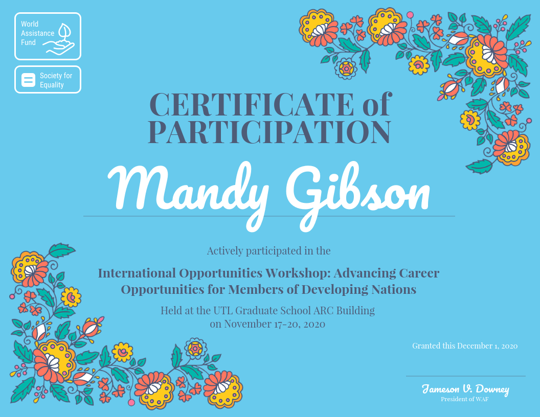 Certificate Of Participation Intended For Certificate Of Participation In Workshop Template