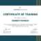 Certificate Of Training Templates – Falep.midnightpig.co In Training Certificate Template Word Format