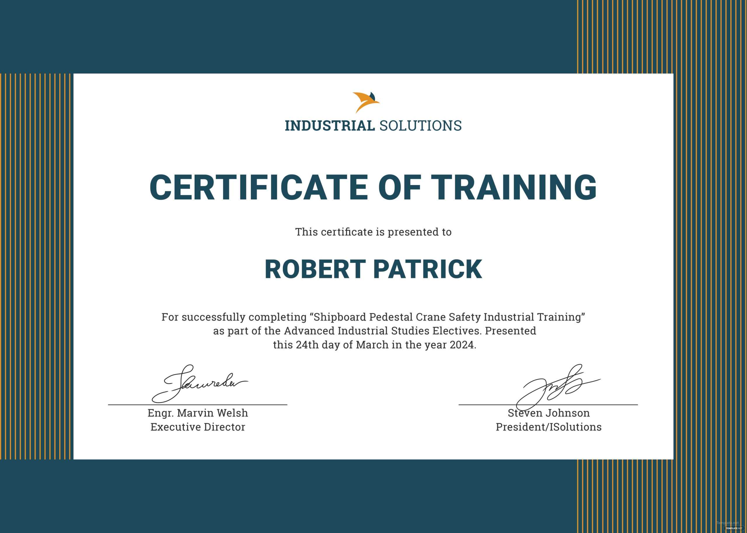 Certificate Of Training Templates – Falep.midnightpig.co With Regard To Fire Extinguisher Certificate Template