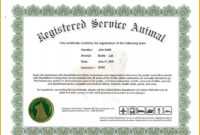 Dog Certificate Template - Dalep.midnightpig.co inside Service Dog Certificate Template