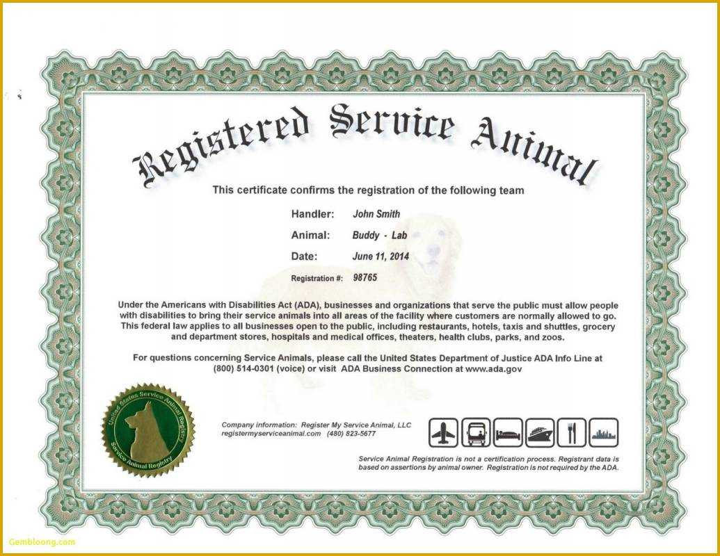Dog Certificate Template - Dalep.midnightpig.co Inside Service Dog Certificate Template