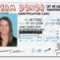 Drivers Licence Id Template – Babysitemn's Blog For Florida Id Card Template