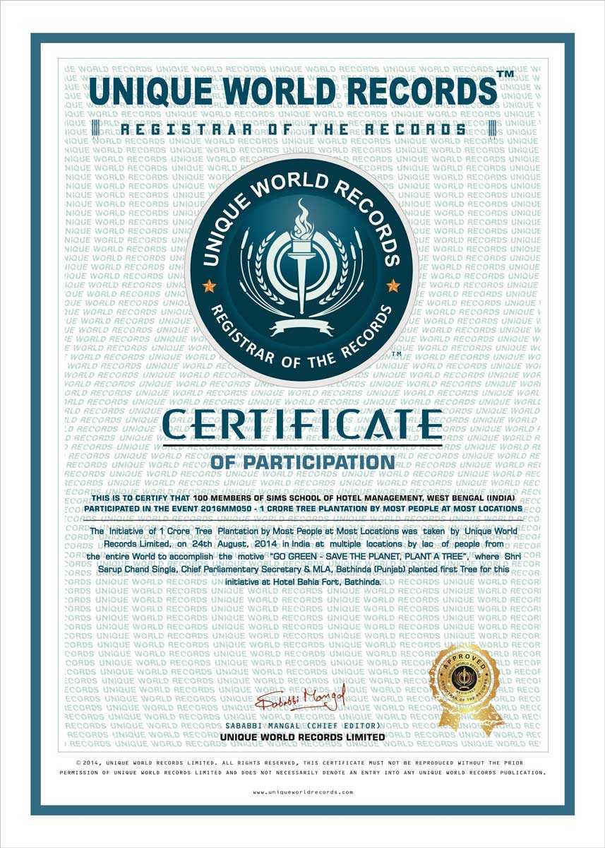 Fake Guinness World Record Certificate – Dalep.midnightpig.co With Regard To Guinness World Record Certificate Template