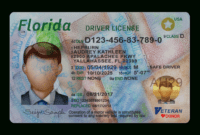 Florida Driver License Template pertaining to Florida Id Card Template
