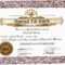 Free Ordination Certificate Download – Calep.midnightpig.co Inside Certificate Of Ordination Template