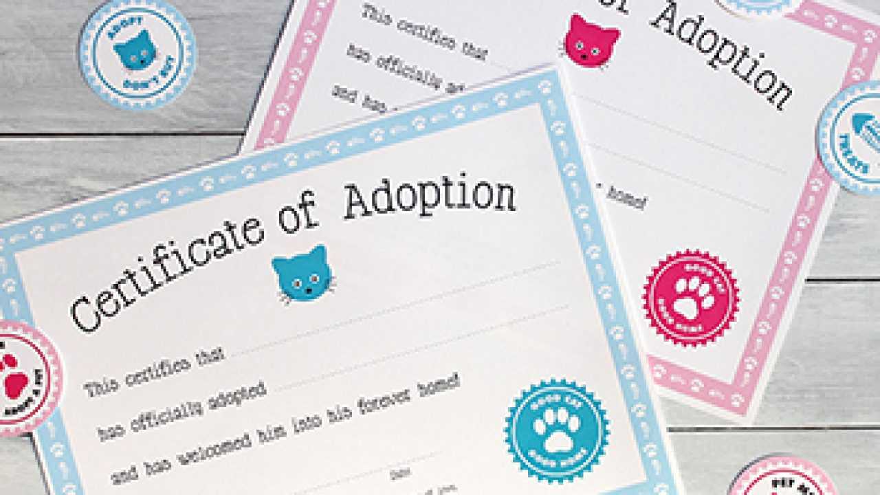 Free Printable Cat Adoption Kit | Chickabug With Regard To Pet Adoption Certificate Template