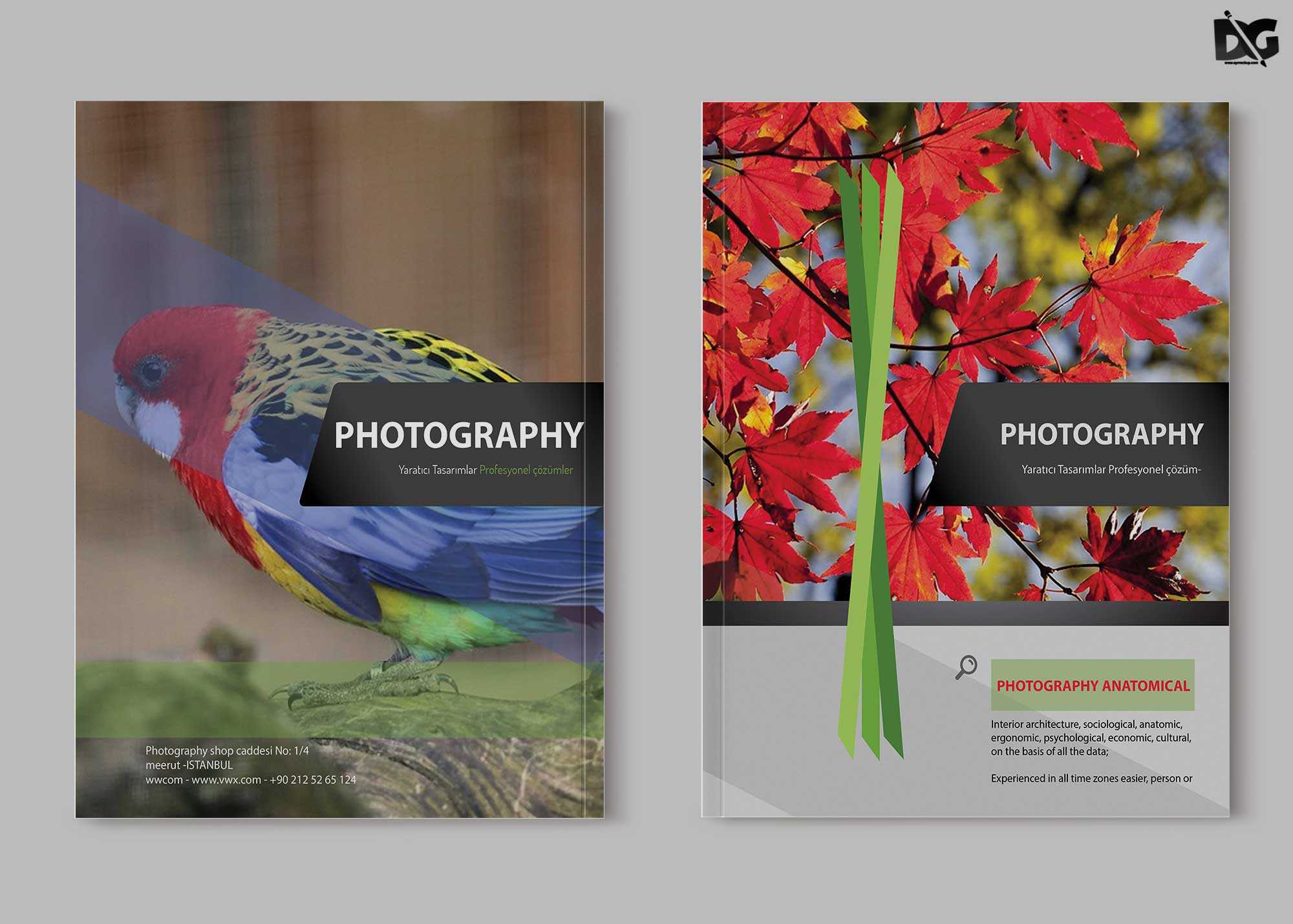 Free Zoo Photography Psd Brochure Template | Free Psd Mockup Within Zoo Brochure Template