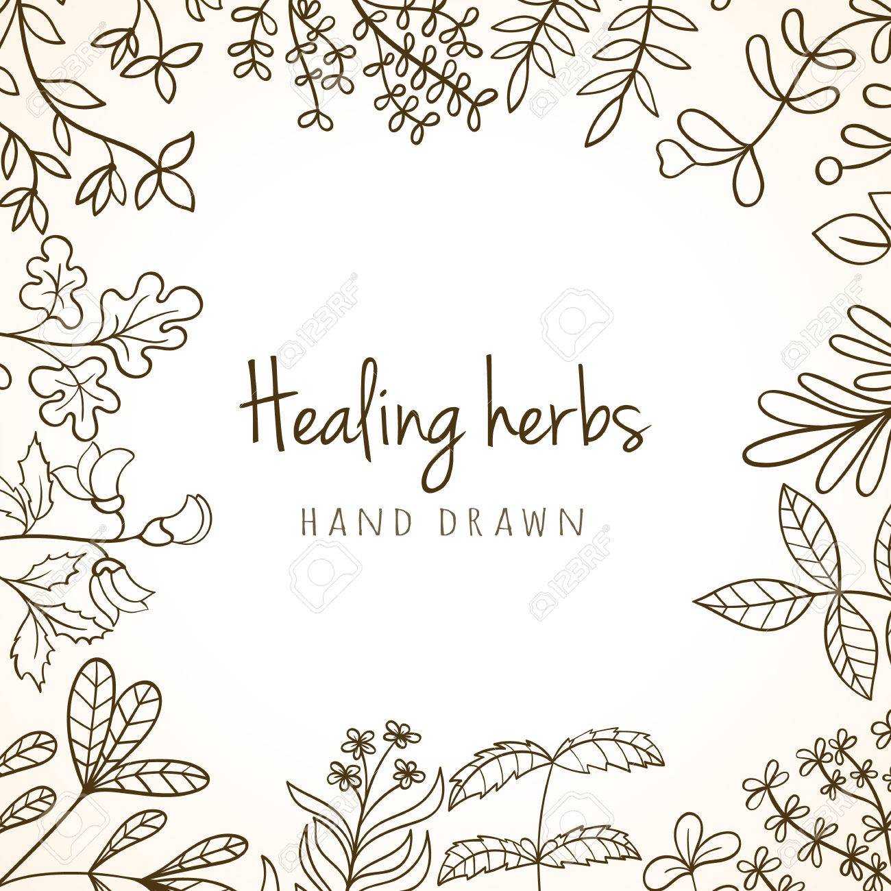 Hand Drawn Vintage Background Of Medicinal Organic Healing Herbs. Vector  Medical Plants And Herbal Botanical Flowerelements Can Be Used For Banner Pertaining To Med Card Template