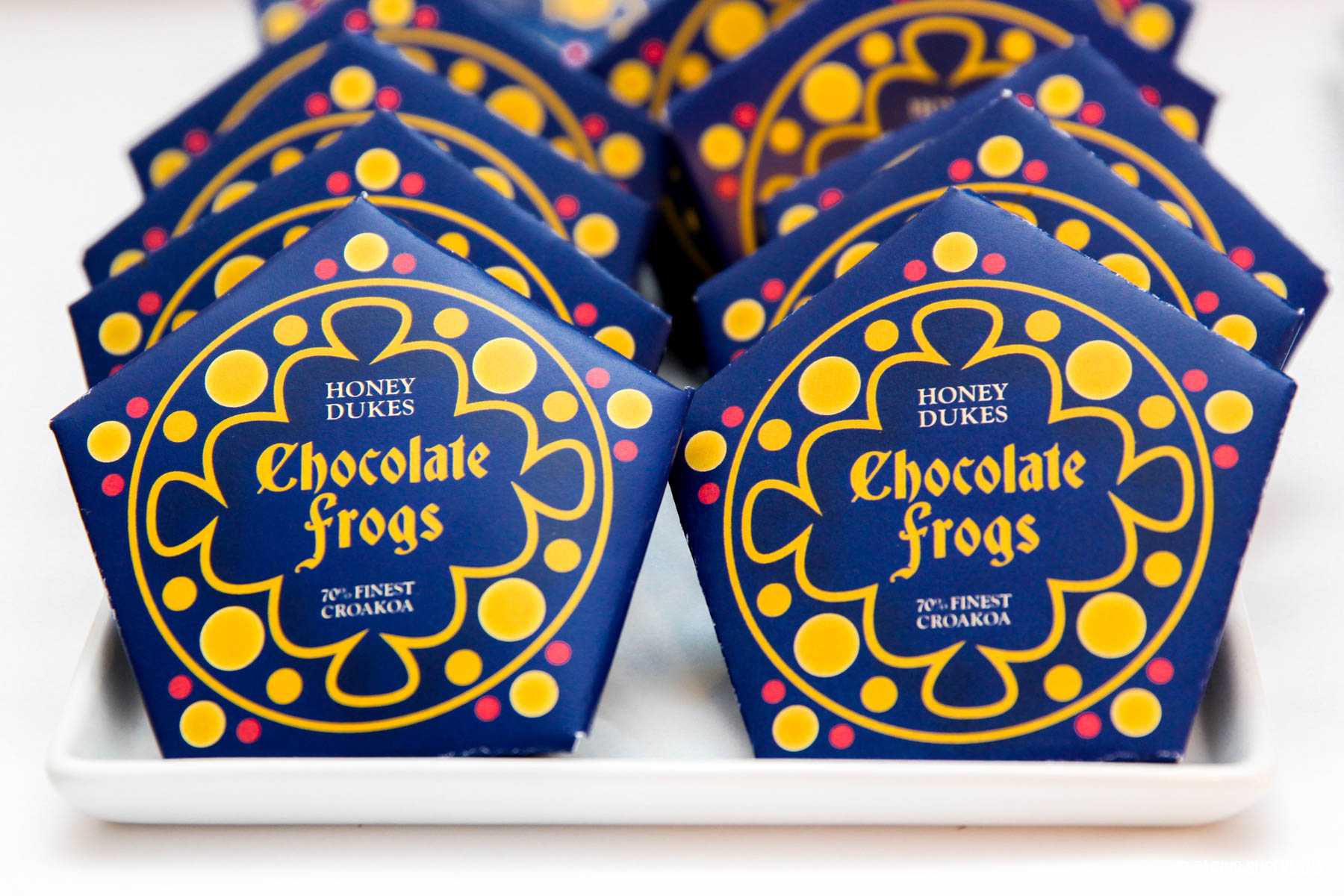 Harry Potter Chocolate Frogs – Free Printable Template For Inside Chocolate Frog Card Template