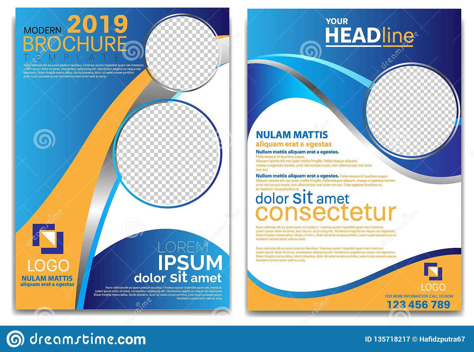 Modern Brochure Template 2019 And Professional Brochure For School Brochure Design Templates