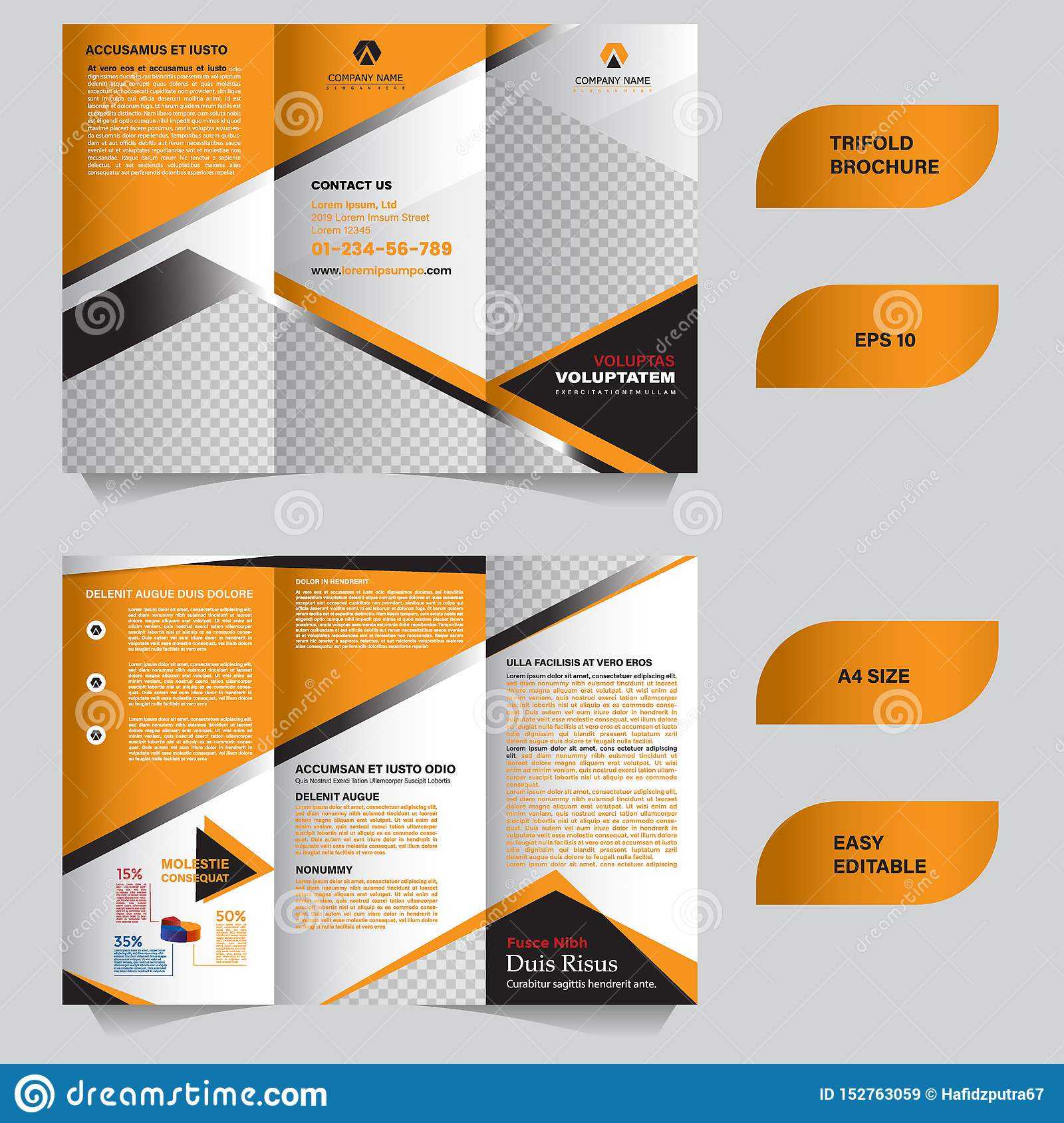 Modern Trifold Brochure Template With Flat And Elegant Pertaining To Tri Fold Brochure Template Illustrator Free