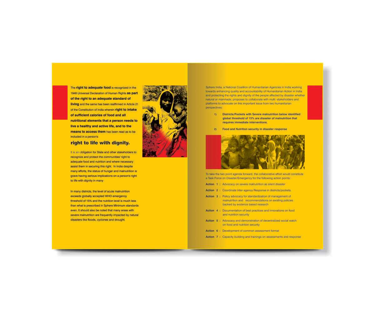 Ngo Brochure Design Samples – Veppe.digitalfuturesconsortium Pertaining To Ngo Brochure Templates