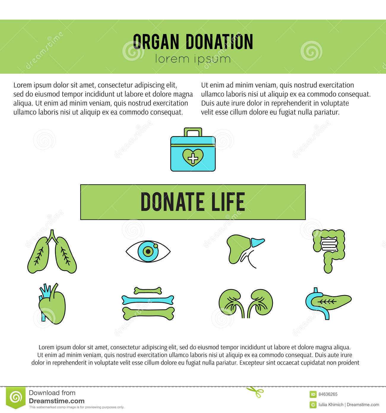 Organ Donation Template Stock Vector. Illustration Of Cornea Within Organ Donor Card Template