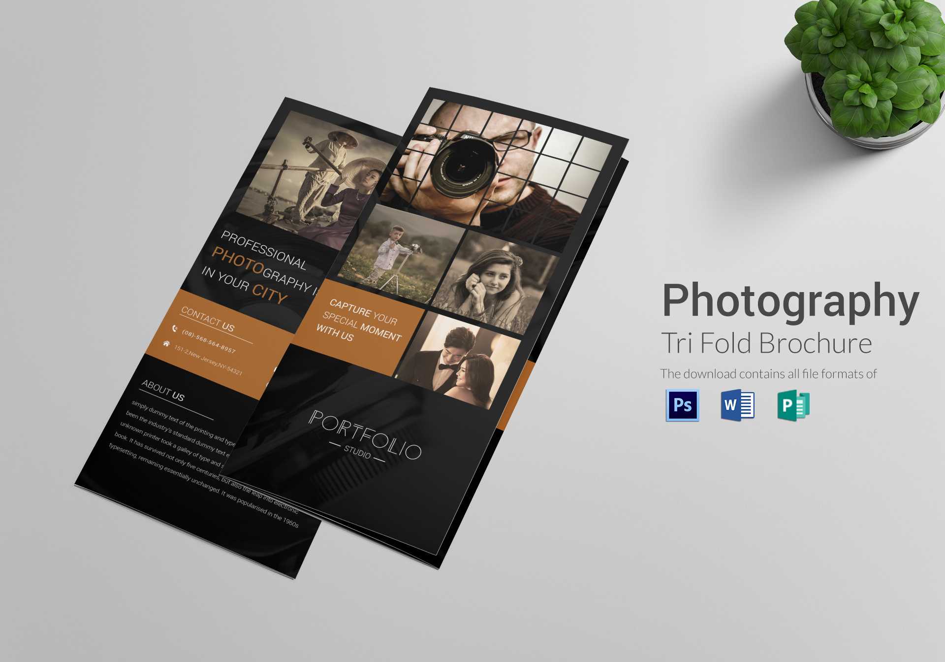Photography Brochure Tri Fold Template With Regard To Brochure 3 Fold Template Psd
