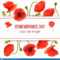 Poppy Red Flowers Card Template With Copy Space On Stripe Pertaining To Remembrance Cards Template Free