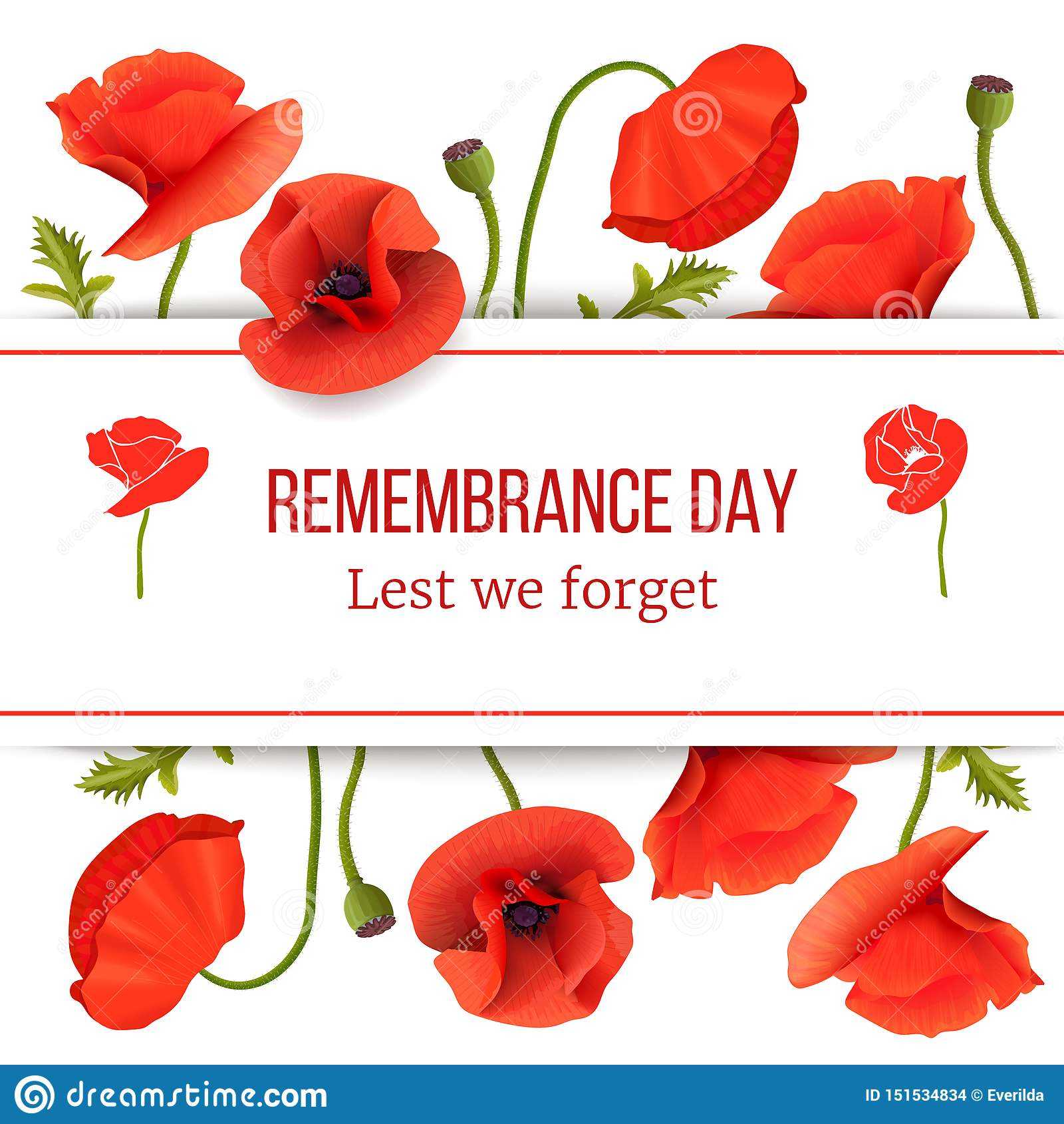 Poppy Red Flowers Card Template With Copy Space On Stripe Pertaining To Remembrance Cards Template Free