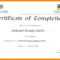 Printable Doc Pdf Editable Training Certificate Template With Regard To Template For Training Certificate