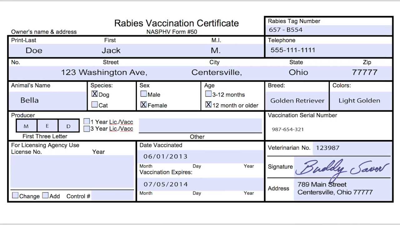 Rabies Vaccination Certificate – Calep.midnightpig.co Intended For Rabies Vaccine Certificate Template