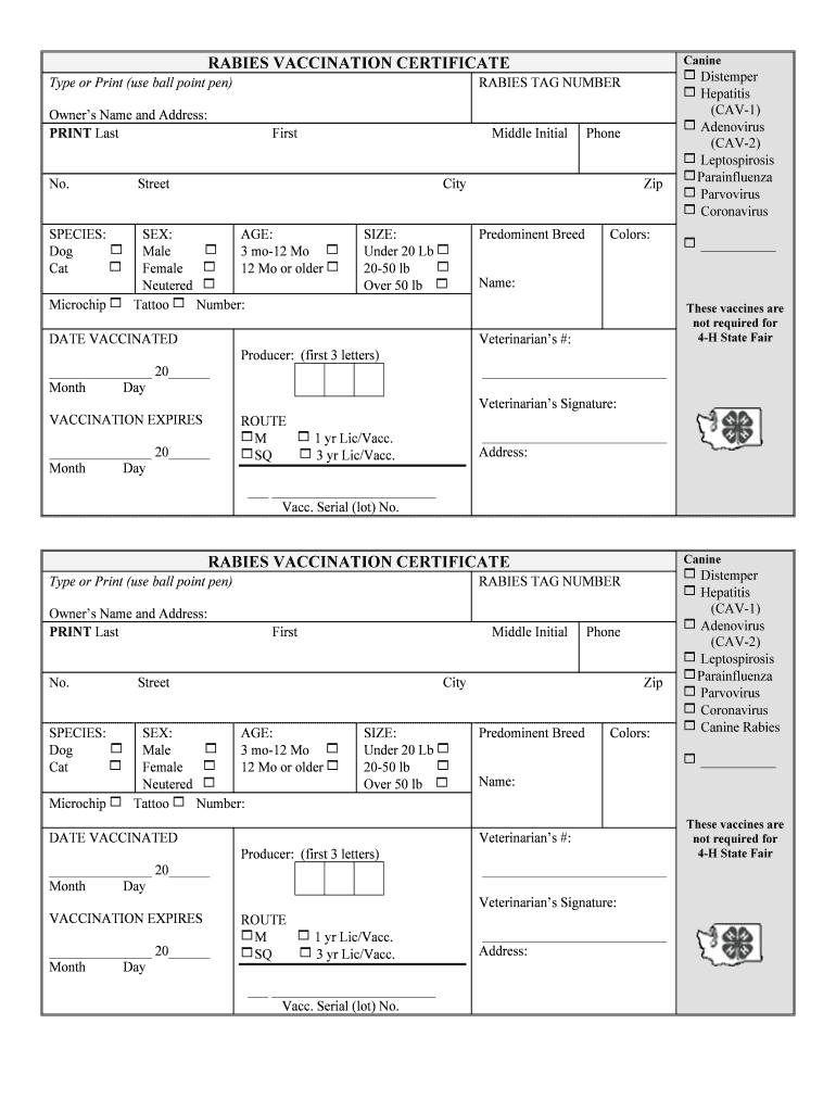 Rabies Vaccination Certificate – Calep.midnightpig.co With Regard To Rabies Vaccine Certificate Template