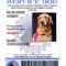 Service Dog Id | Custom & Holographic For Service Dog Certificate Template