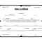 Shareholders Certificate Template Free – Dalep.midnightpig.co For Shareholding Certificate Template