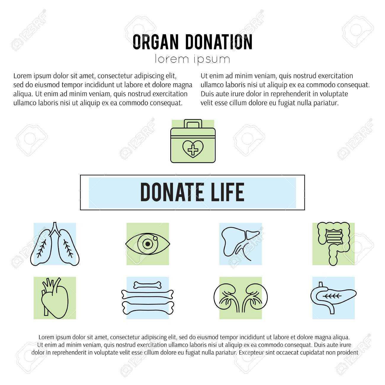 Square Banner Template. Organ Donation Thin Line Icons. Donate.. Within Organ Donor Card Template