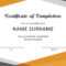 Training Certificate Templates – Calep.midnightpig.co With Regard To Template For Training Certificate