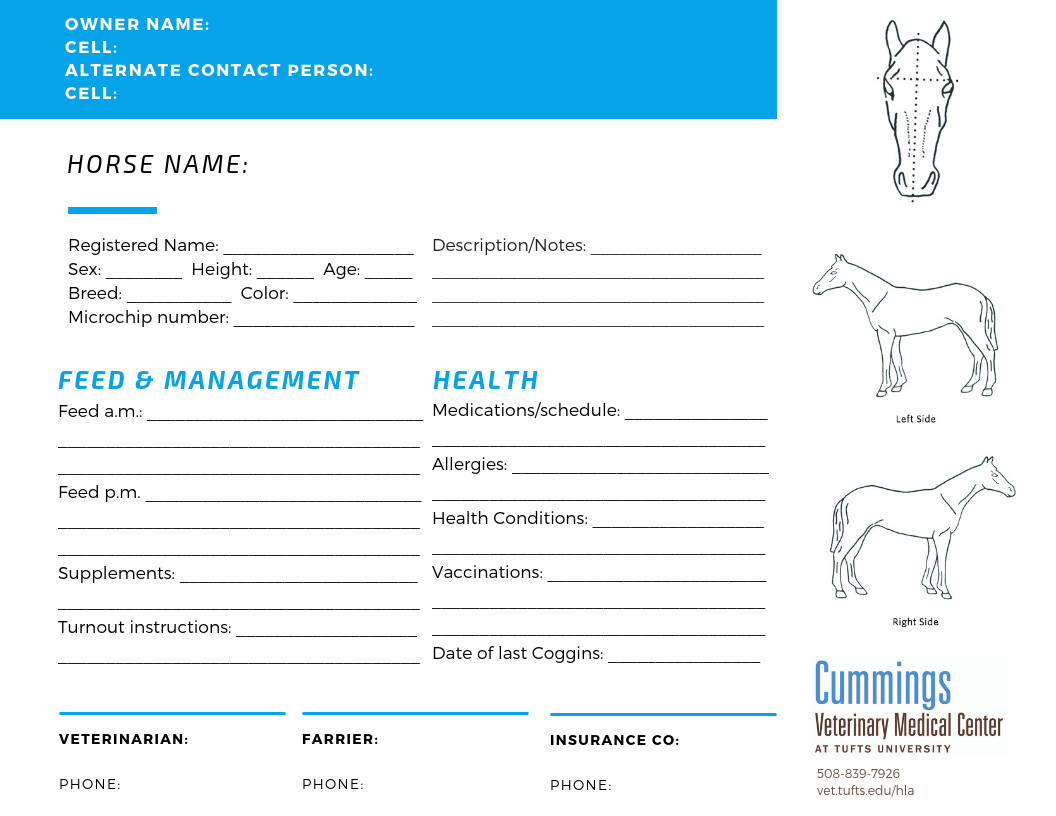 Travel Confidently – News Center At Cummings School Of Inside Horse Stall Card Template