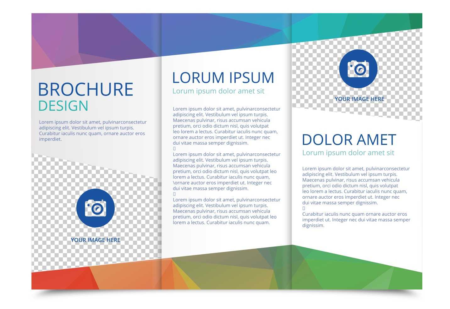 Tri Fold Brochure Vector Template - Download Free Vectors In 3 Fold Brochure Template Free
